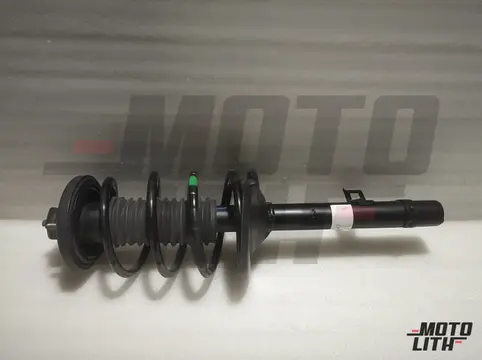 ABSORBER ASSY, L. RR. SHOCK