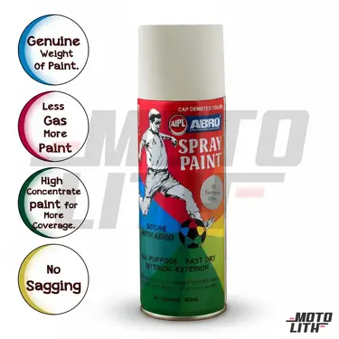 Car Spray Paint (Siemans Grey)