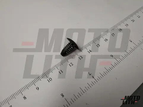 CLIP