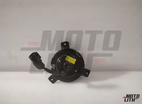 Radiator Fan Motor