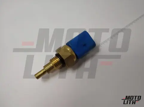 Temperature Sensor 