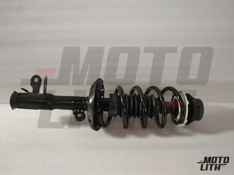 Front Suspension Strut Assembly Left