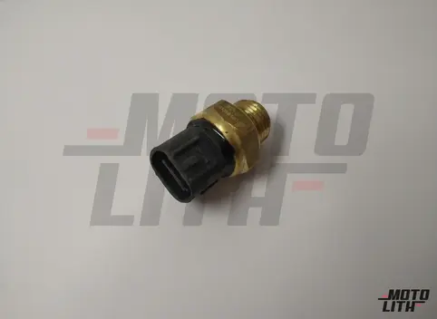 Thermo Switch (Small Thread)