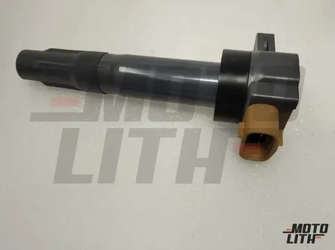 COIL ASSY, IGNITION