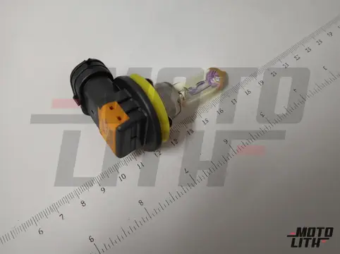 H8 Gold Halogen Bulb 12V 55W (Single Bulb)