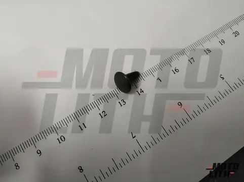 CLIP