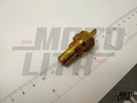 Temperature Sensor
