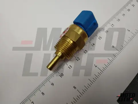 Temperature Sensor