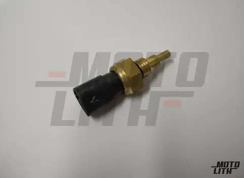 Temperature Sensor 
