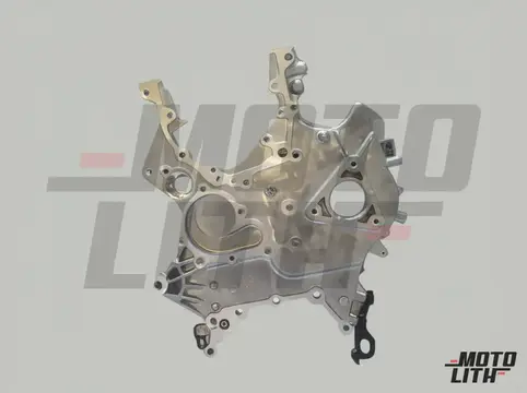 CASE ASSY-TIMING CHAIN