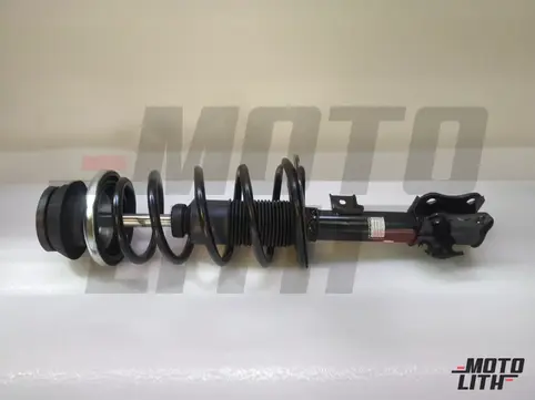 Front Suspension Strut Assembly Right