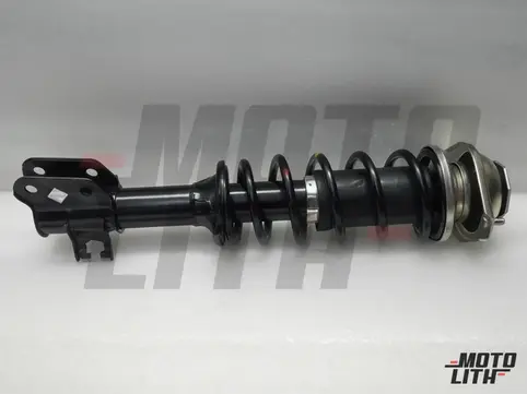 STRUT SET FR SUSP  RH