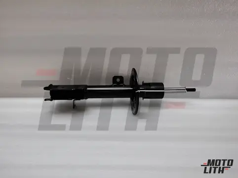 STRUT ASSY, FRONT SPNSN LH