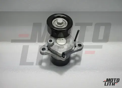 TENSIONER ASSY