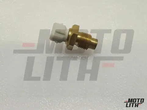 Temperature Sensor