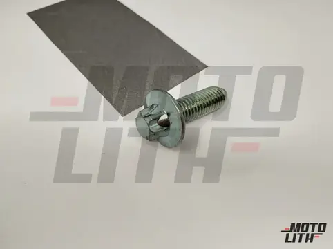 BOLT (8X25)