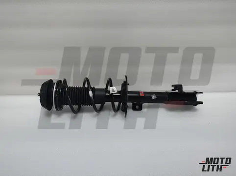 Front Suspension Strut Assembly Left
