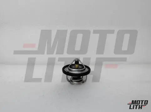 THERMOSTAT WATER 82