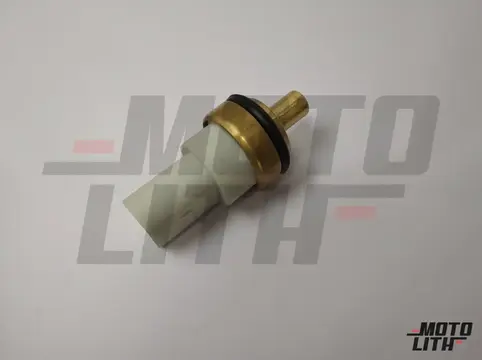 Temperature Sensor 