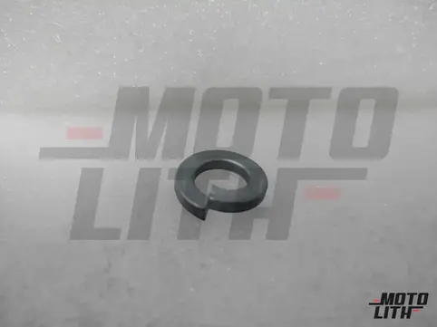 WASHER-SPRING