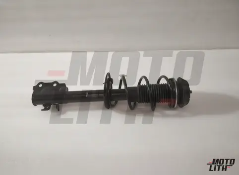 Front Suspension Strut Assembly Right