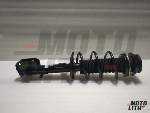 Front Suspension Strut Assembly Right