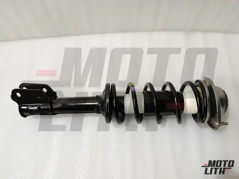 Front Suspension Strut Assembly Left