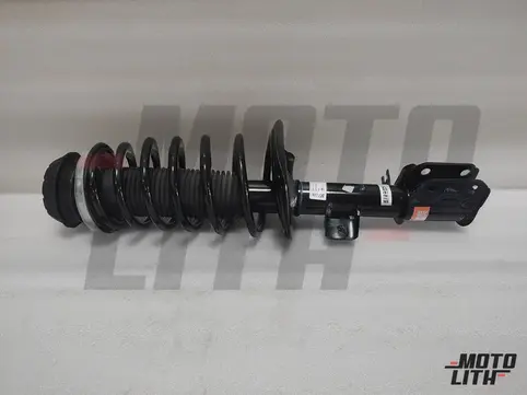 Front Suspension Strut Assembly Right