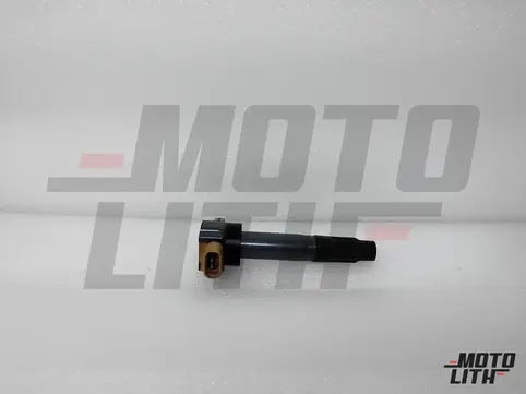 COIL ASSYIGNITION