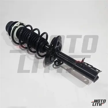 Suspension Strut Assy