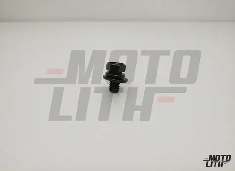 BOLT, W/WASHER