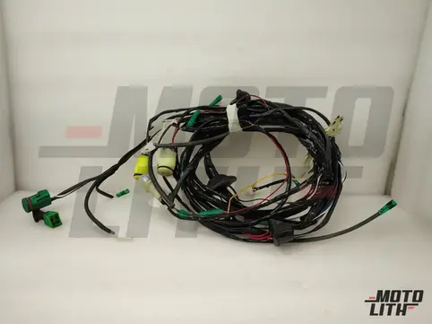 WRG HARNESS #2(M&NM)
