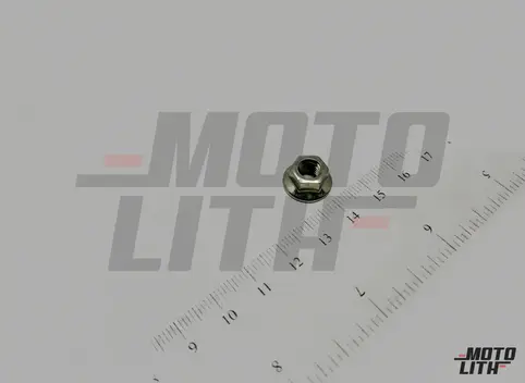 NUT