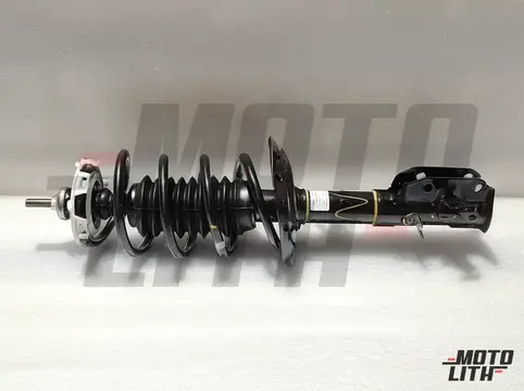 Front Suspension Strut Assembly Right