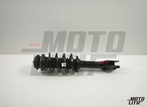 STRUT SET FRONT SPNSN LH
