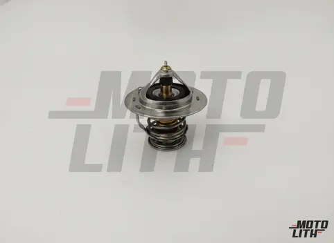 THERMOSTAT ASSY