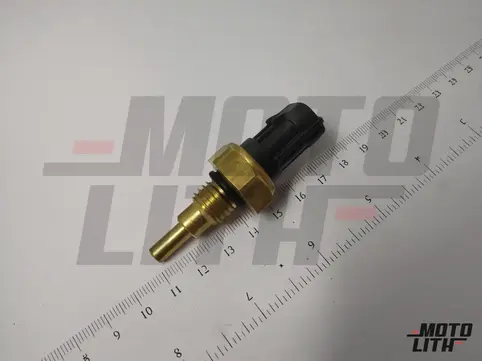 Temperature Sensor 