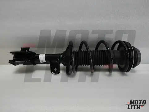 Front Suspension Strut Assembly Left