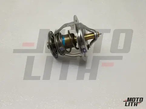 THERMOSTAT ASSY
