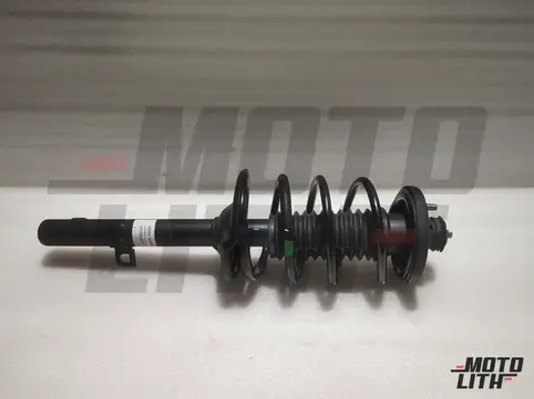 ABSORBER ASSY, R. RR. SHOCK
