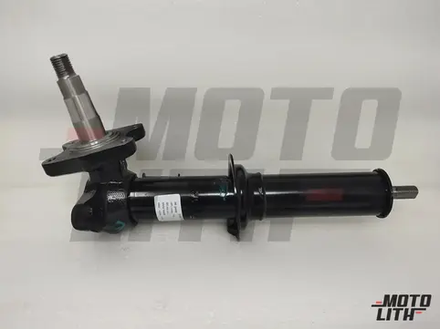 STRUT ASSY FR SUSP LH