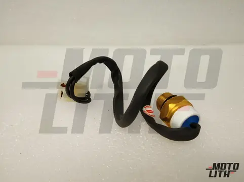 Thermostat Switch