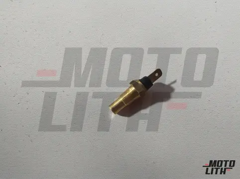 Temperature Sensor