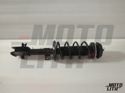 Front Suspension Strut Assembly Left