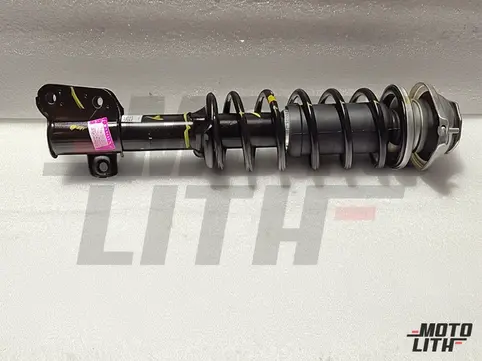Front Suspension Strut Assembly Left