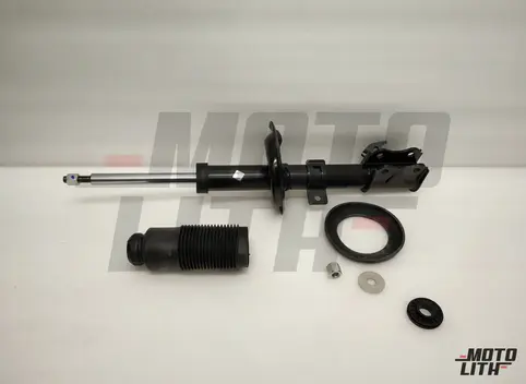 Front Suspension Strut Left