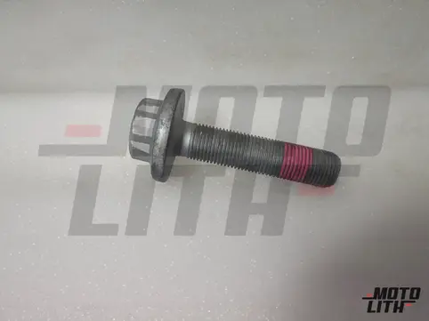 dodecagonal head bolt