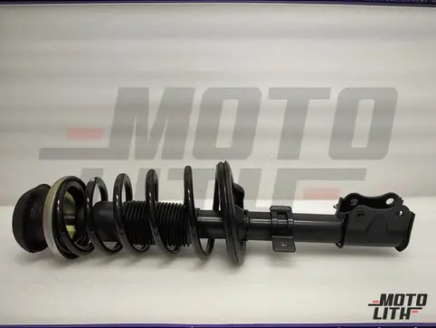 Front Suspension Strut Assembly Left