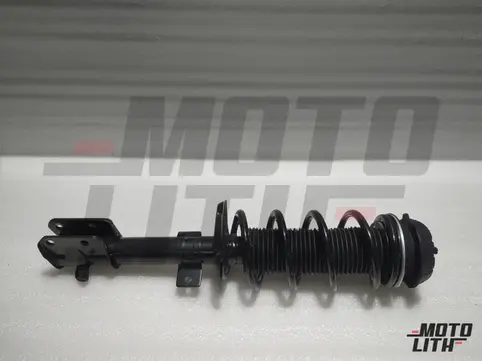 Front Suspension Strut Assembly Left