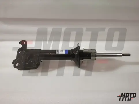 STRUT ASSYFRONT SPNSNR